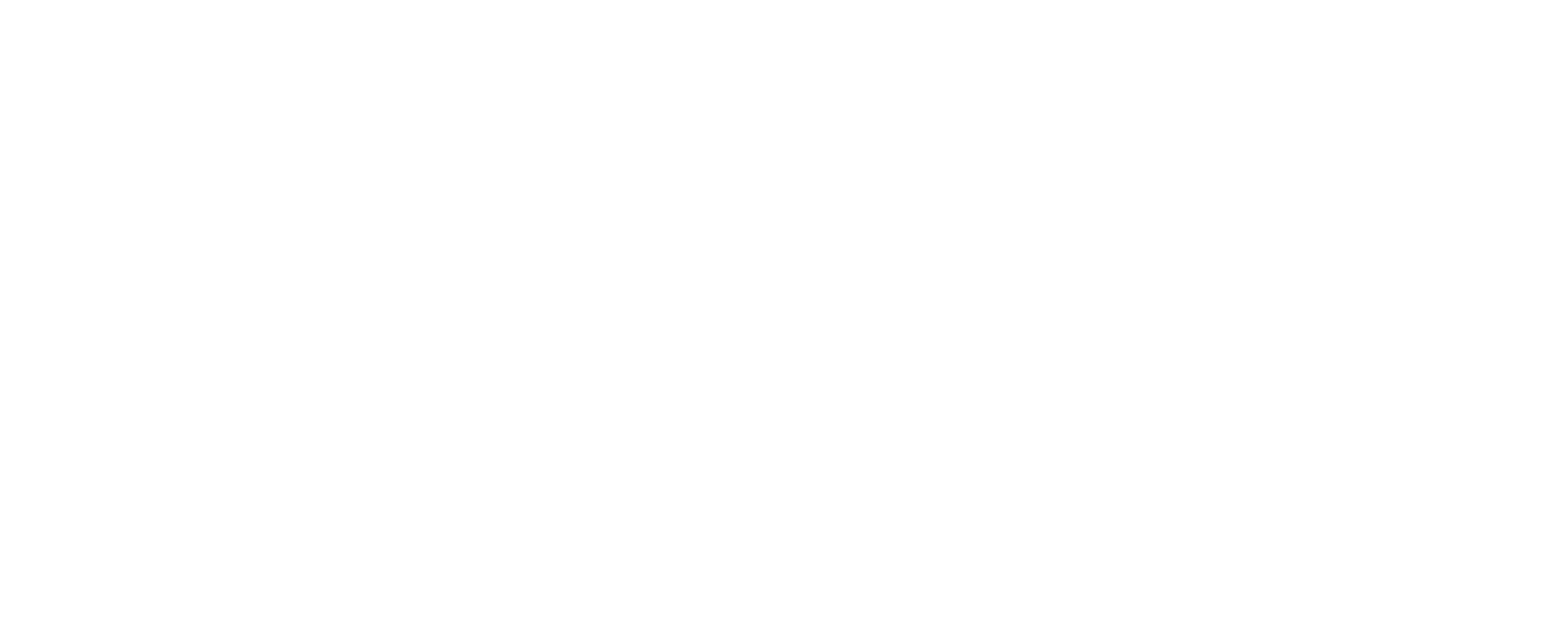 Logo Roman 1924